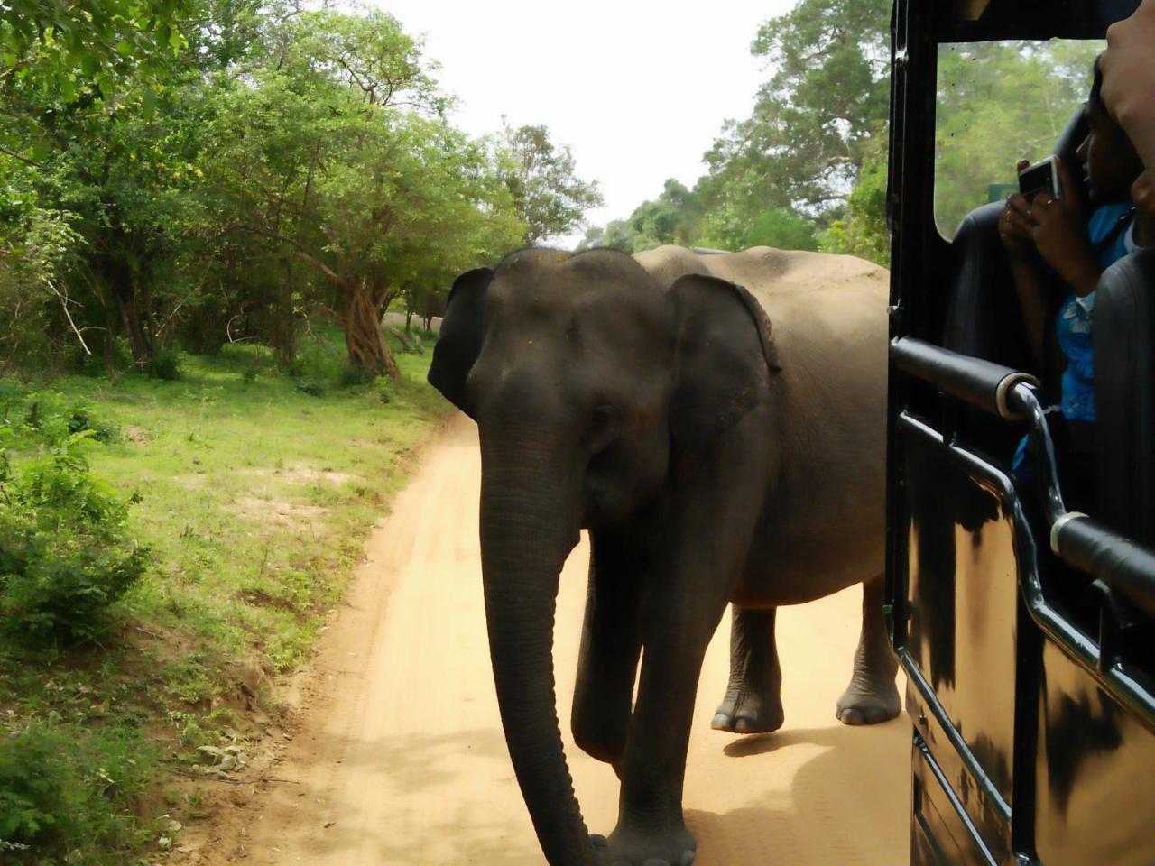 Lake Front Yala Safari Kataragama Exteriér fotografie